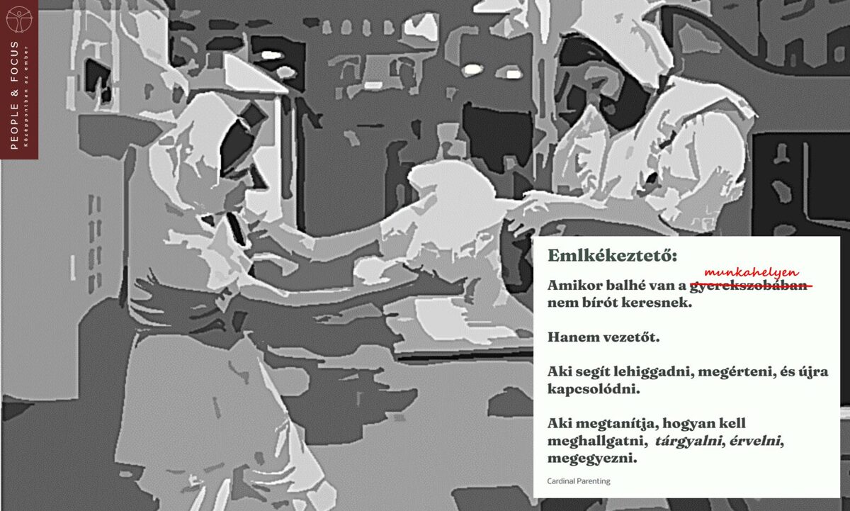 Nem_birot__hanem_vezetot.jpg
